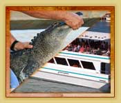 Combo pack includes Everglades tour plus Biscayne Bay boat tour Combo pack includes Everglades tour plus Biscayne Bay boat tour