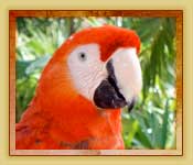 Combo pack includes Everglades Tour Plus Jungle Island Tours Combo pack includes Everglades Tour Plus Jungle Island Tours