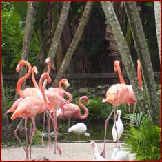 fort-lauderdale-tours3